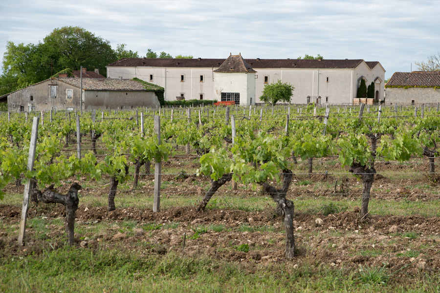 chateau_1.jpg